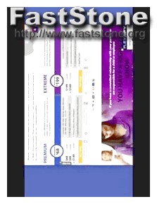 flexispy